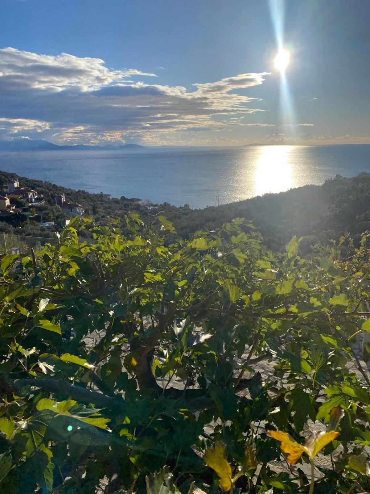 Apollo Romantic Sea View * Kiveri