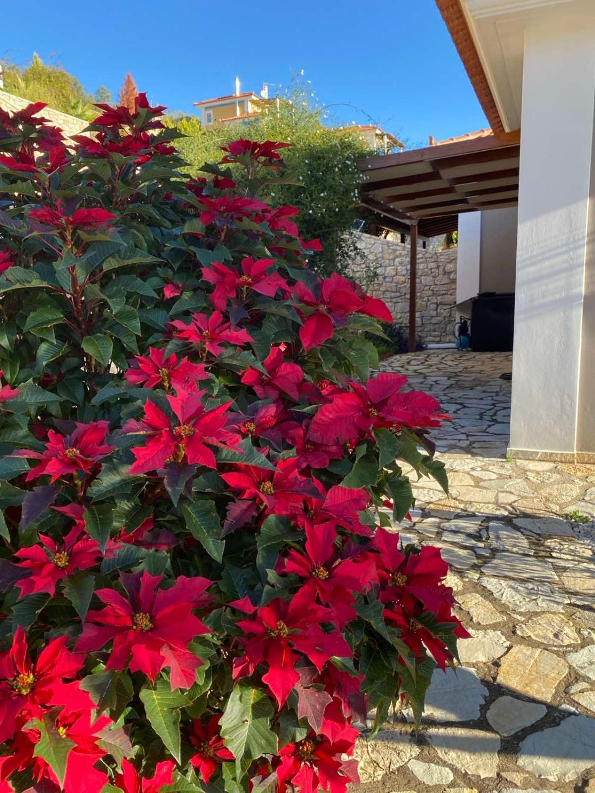 Apollo Romantic Sea View Villa Kiveri